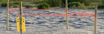 recent-project-img-1